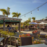 Jimmy B's Beach Bar
